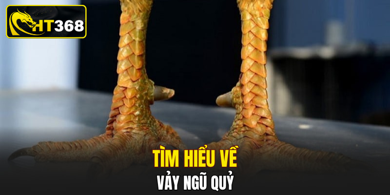 Tìm hiểu về vảy ngũ quỷ